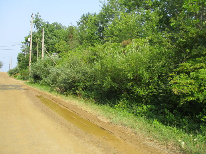 V/L Miami Avenue  South Haven MI 49090 photo