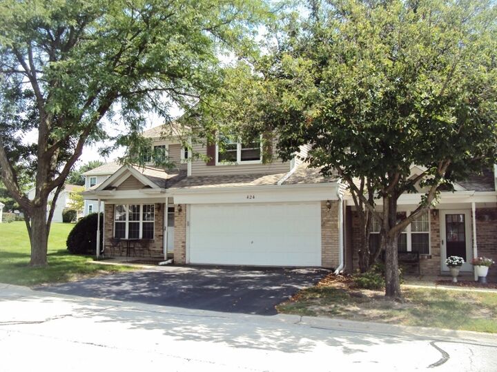 424 Van Gogh Circle  Bolingbrook IL 60440 photo