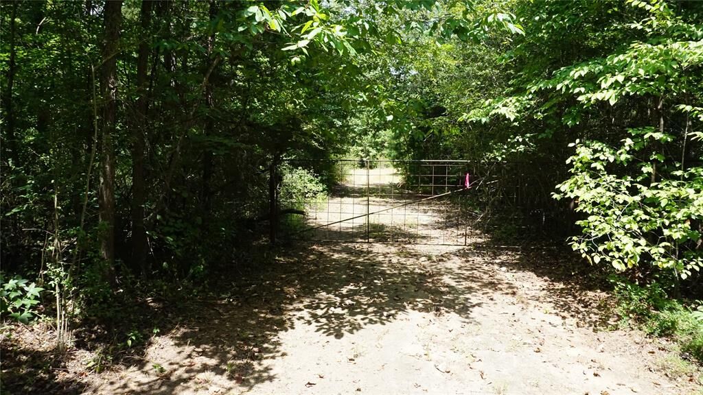Property Photo:  Tbd Private Road 7907  TX 75765 