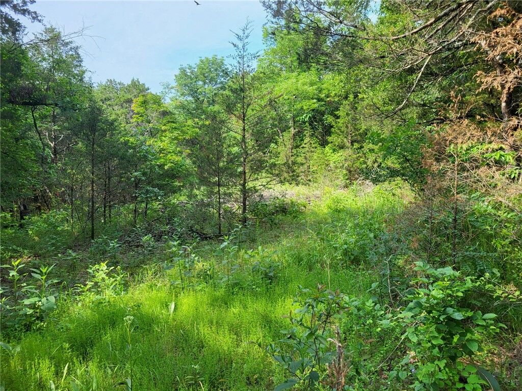 Property Photo: 483 County Road 231 AR 72631