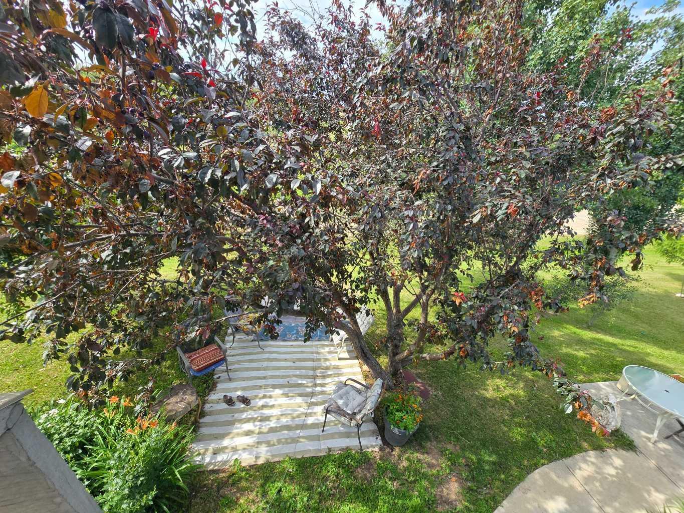 Photo de la propriété: 57115 Range Road 80 109 Main Street, AB T0E 1Y0