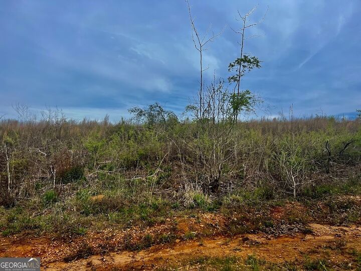 Property Photo:  Tract B Co Rd 123  AL 36278 