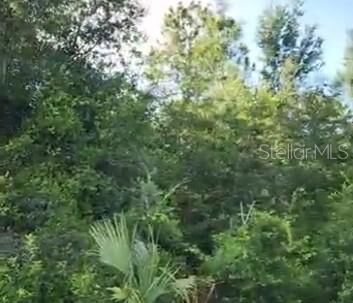 Property Photo:  SE 97 Avenue  FL 34491 