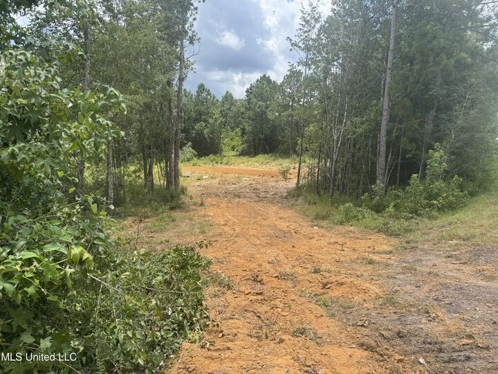 Property Photo: 198 Beaver Dam Road MS 39561