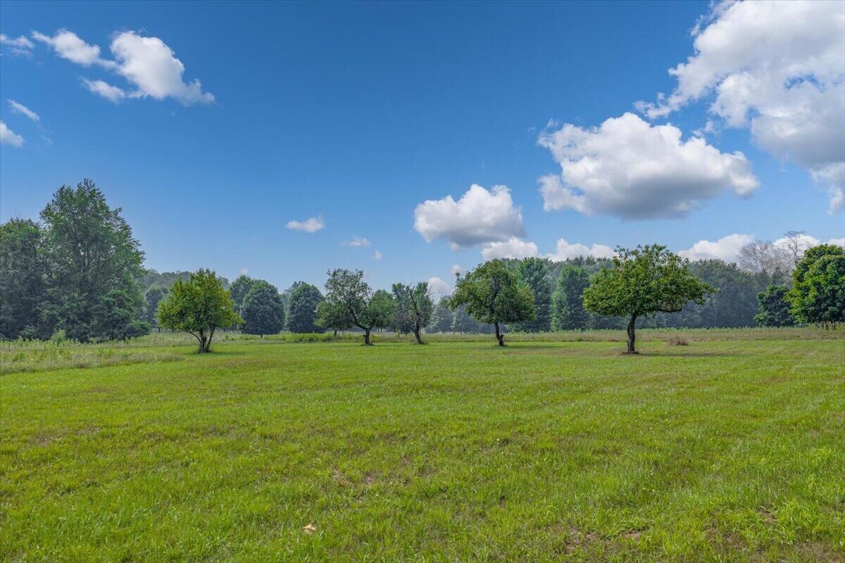 Property Photo: 19839 Witt Road MI 49128
