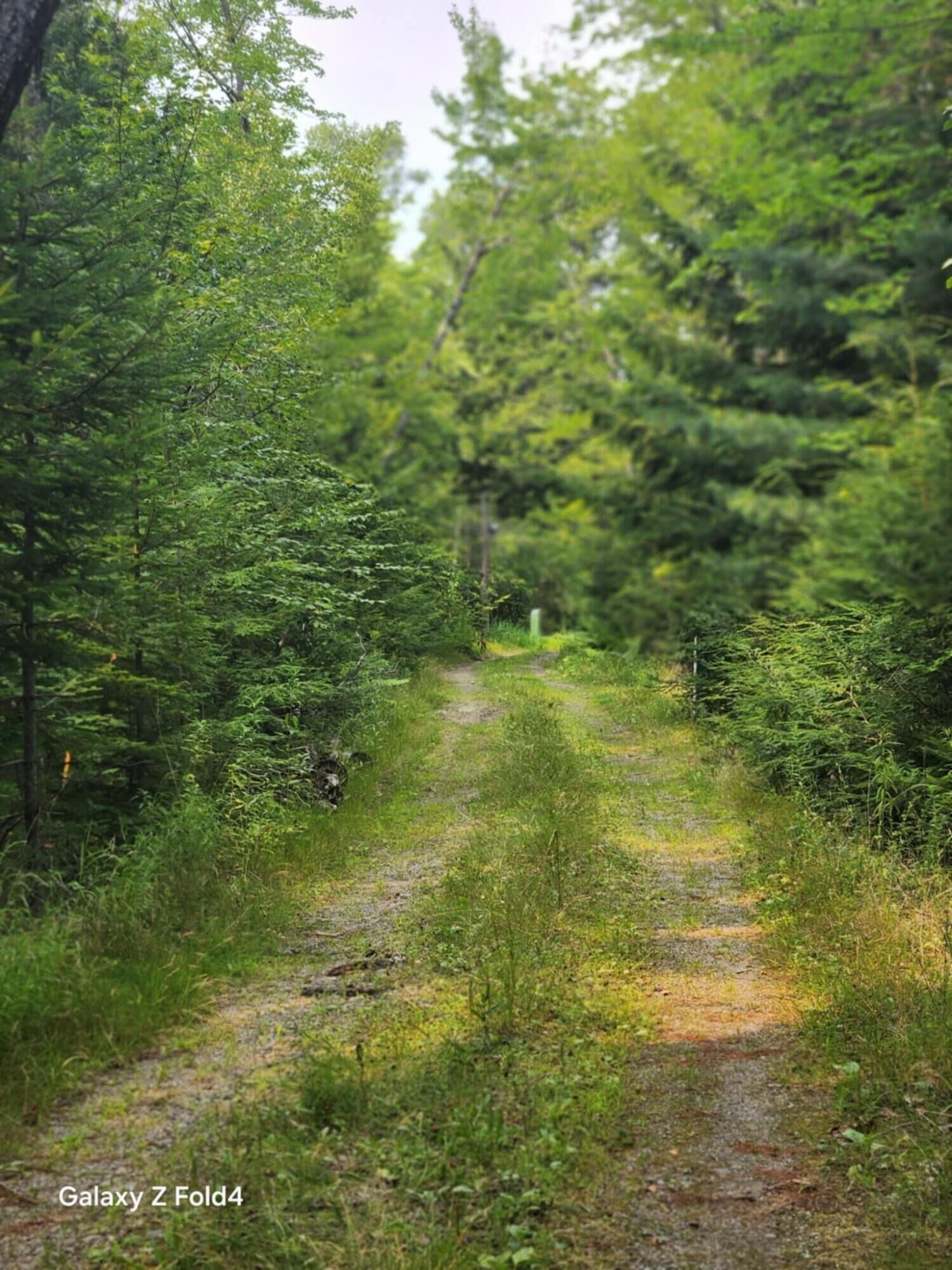 Property Photo: Lot 7-46-9 Clewley Road ME 04401