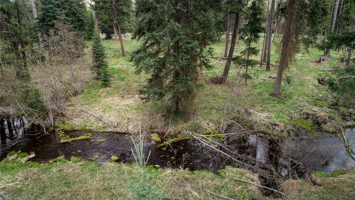 137 Fallen Bear Lane  Libby MT 59923 photo