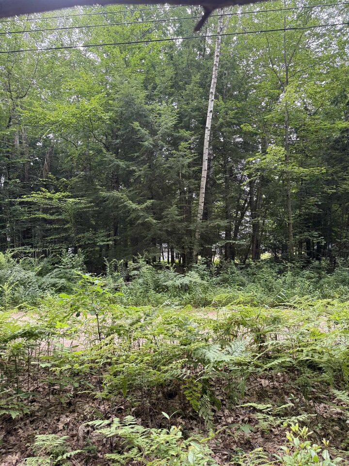Property Photo:  37 Mayflower Lane  NH 03254 