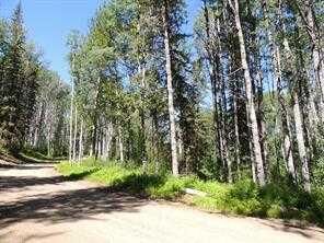 Property Photo: Lot #20 Wapiti River SW-21-69-10-W6 AB T0H 1J0