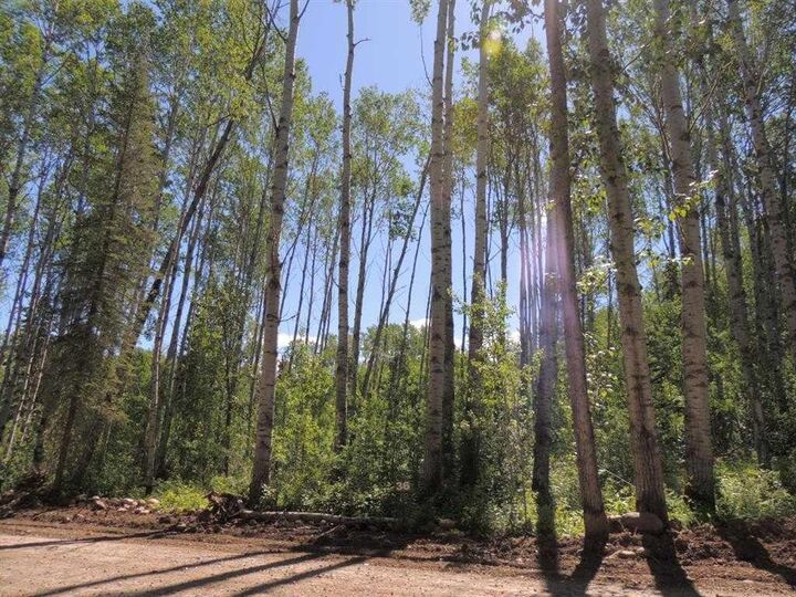 Lot #36 Wapiti River SW-21-69-10-W6 — photo 1