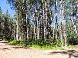 Property Photo: Lot #7 Wapiti River SW-21-69-10-W6 AB T0H 1J0