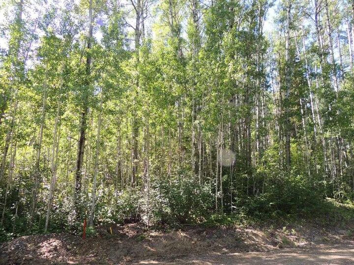 Lot #11 Wapiti River SW-21-69-10-W6 — photo 1