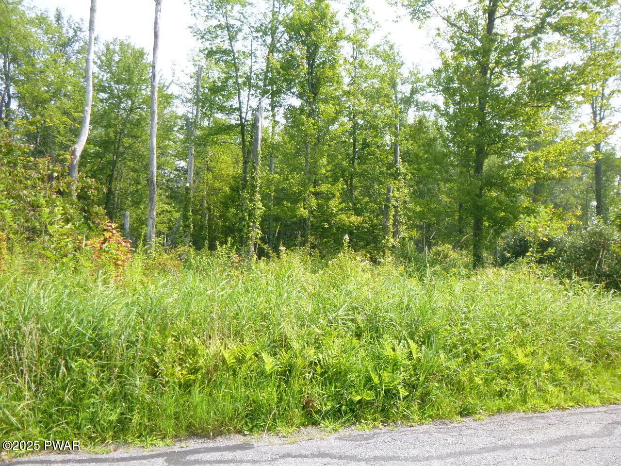 Property Photo:  Tr 401 Swoyer Road  PA 18436 