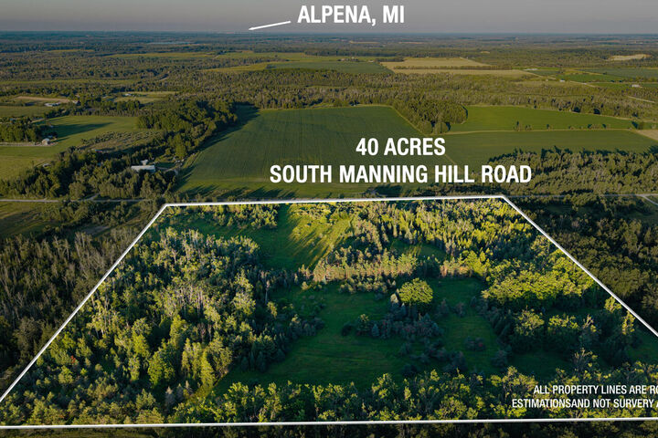 Property Photo:  South Manning Hill Road  MI 49753 