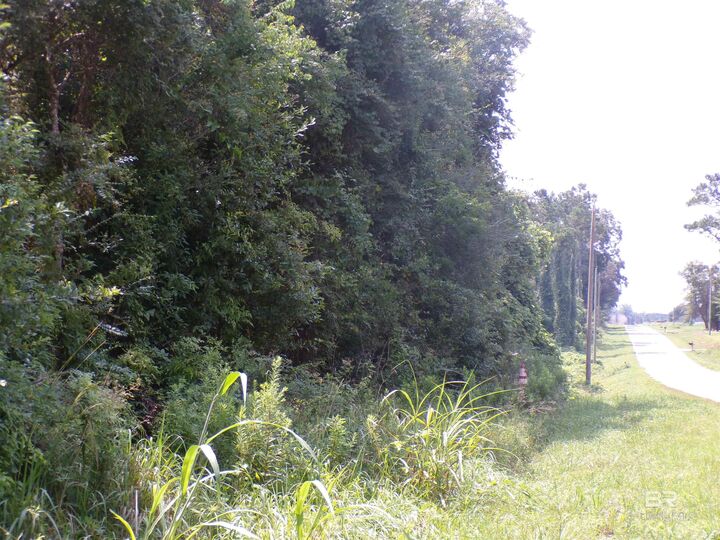Property Photo:  Lipscomb Road  AL 36535 