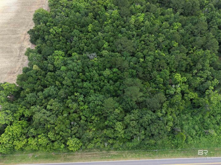 Property Photo:  Lipscomb Road  AL 36535 