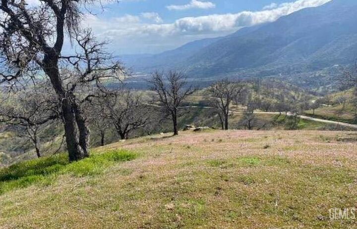11212 Back Canyon Road  Caliente CA 93518 photo