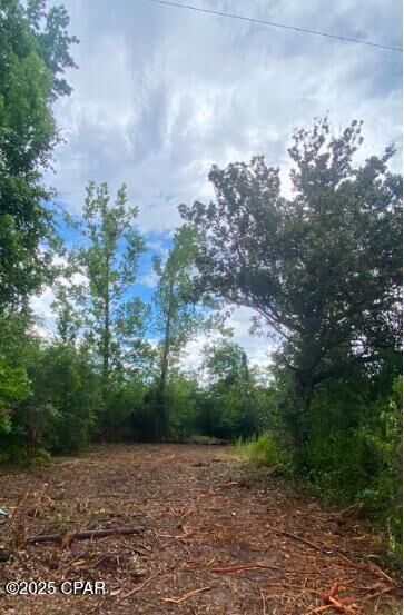 Property Photo:  0 Dogwood Street  FL 32438 