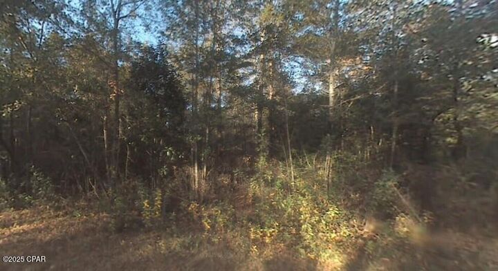 Property Photo: 0 Krocus Street FL 32438