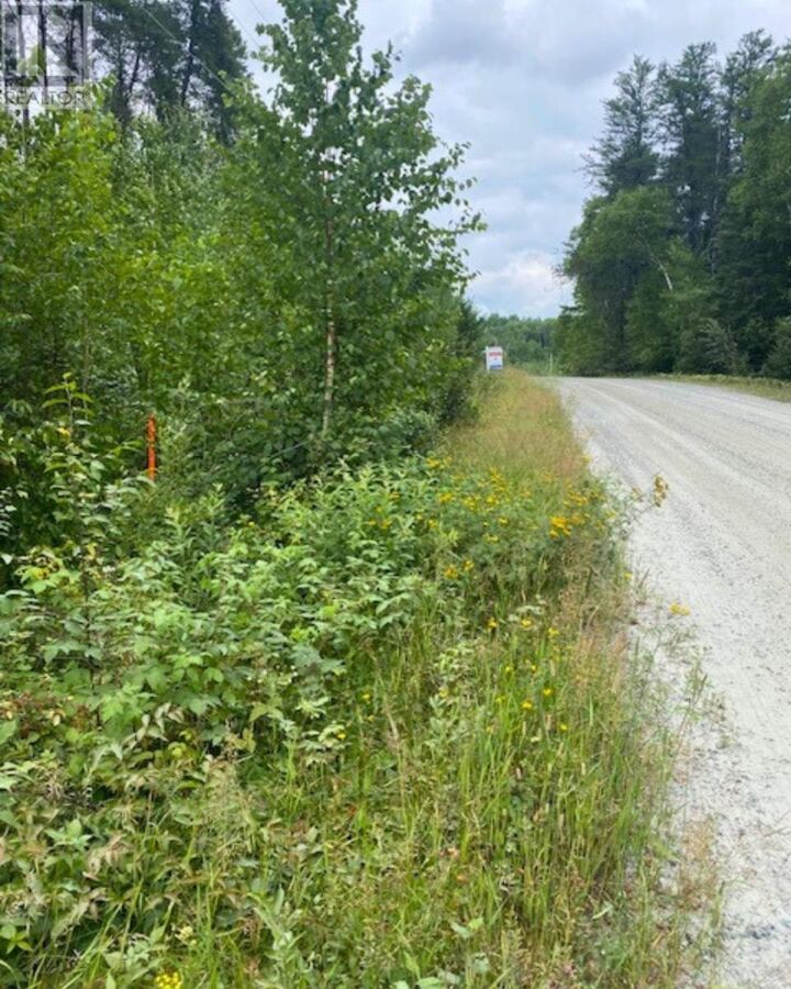 Property Photo:  Lot 14 Jarnel Drive  ON P9N 0A9 