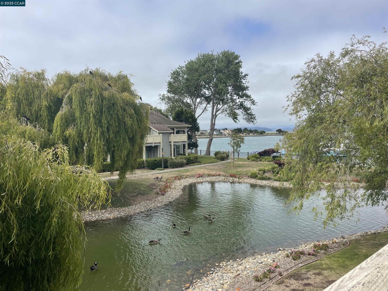 Property Photo:  150 Shoreline Ct  CA 94804 