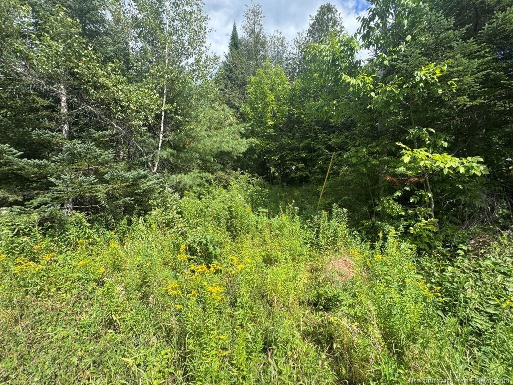 Property Photo: 25-2 Route 620 NB E3A 6K4