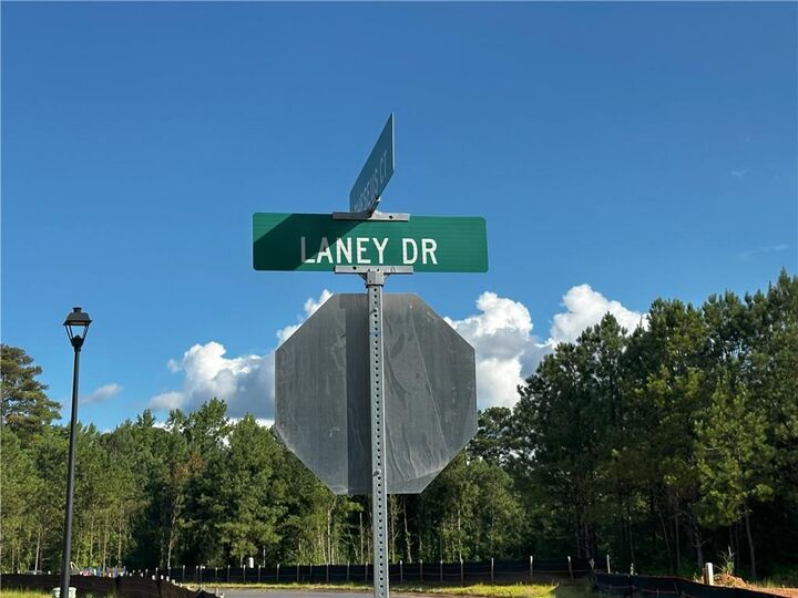 Property Photo:  202 Laney Drive  GA 30117