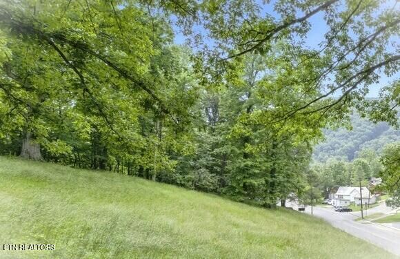 Property Photo: Lot Tractd 335 Hillcrest Drive TN 37724