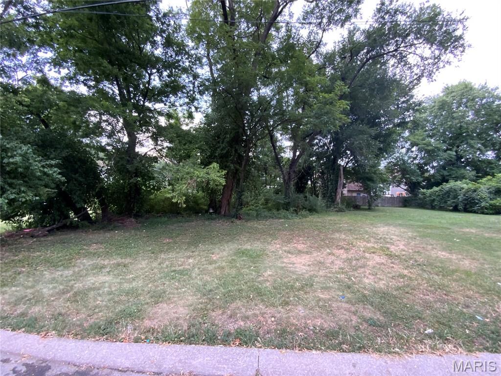Property Photo: 322 Chicago Street MO 63122