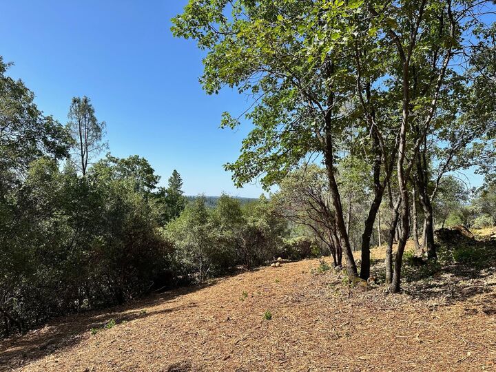 Property Photo:  16709 E Summit View Drive  CA 95722 