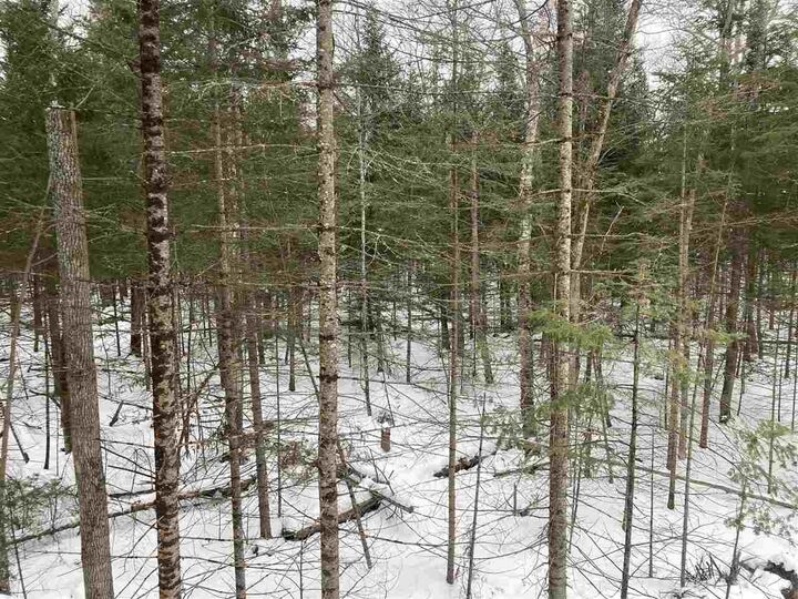 Property Photo:  1602 Trails End Lot 44  MI 49701 