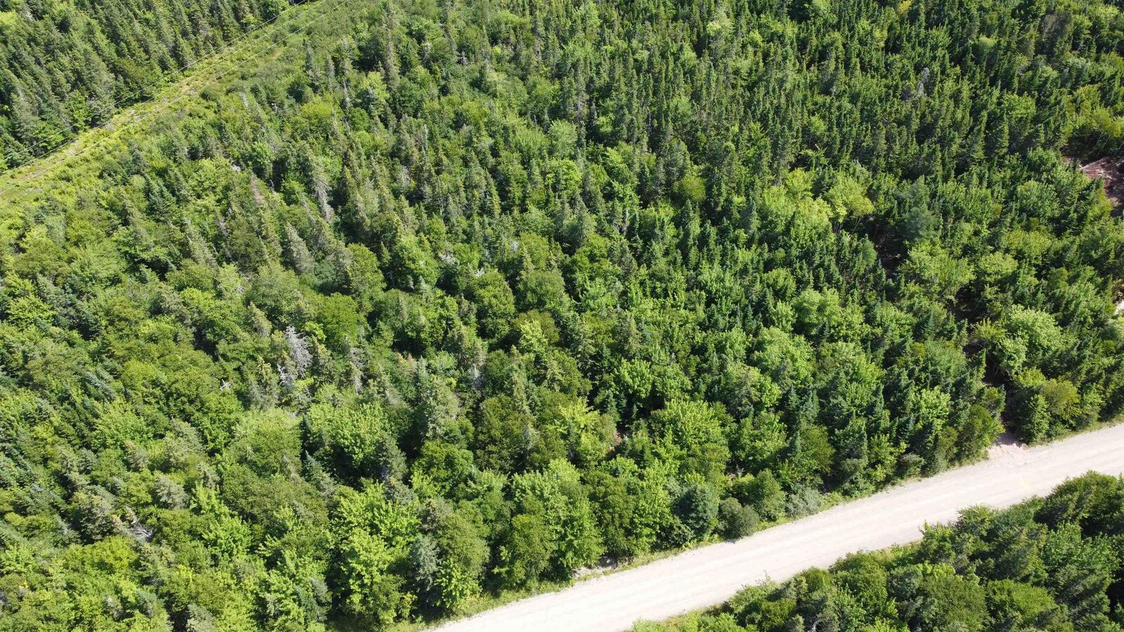Property Photo:  Lot 3 Calabash Road  NS B1X 1K1 