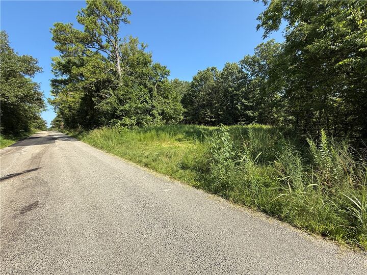 Property Photo: 000 Tract C County Road 516 AR 72616