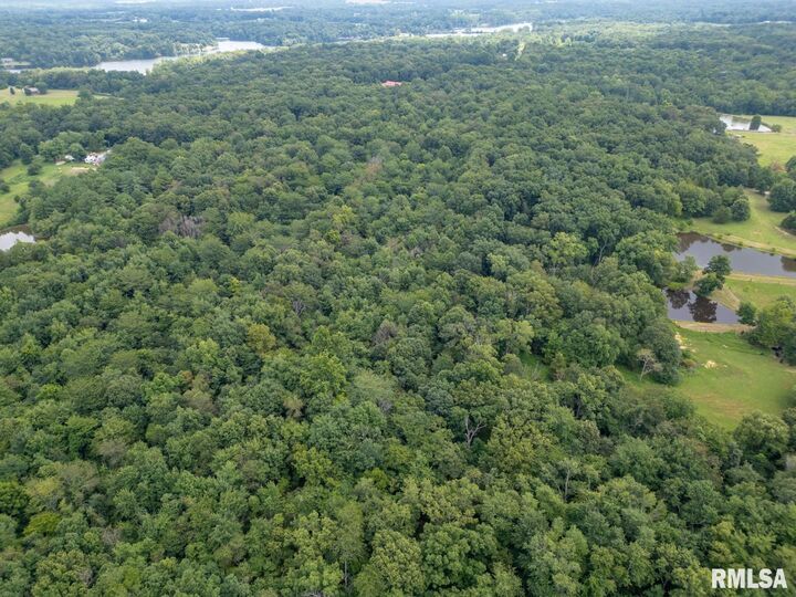 Property Photo:  2655 McReynolds Lane  IL 62896 