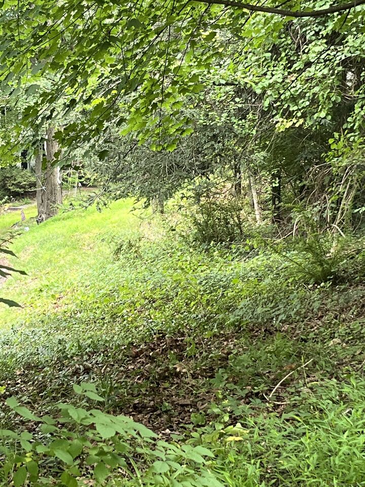 Property Photo: 37 Legion Road CT 06776