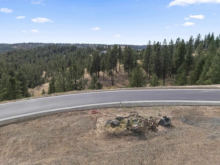 Property Photo:  18xx2 Balsam Hill Ln Lot 2  WA 99036 