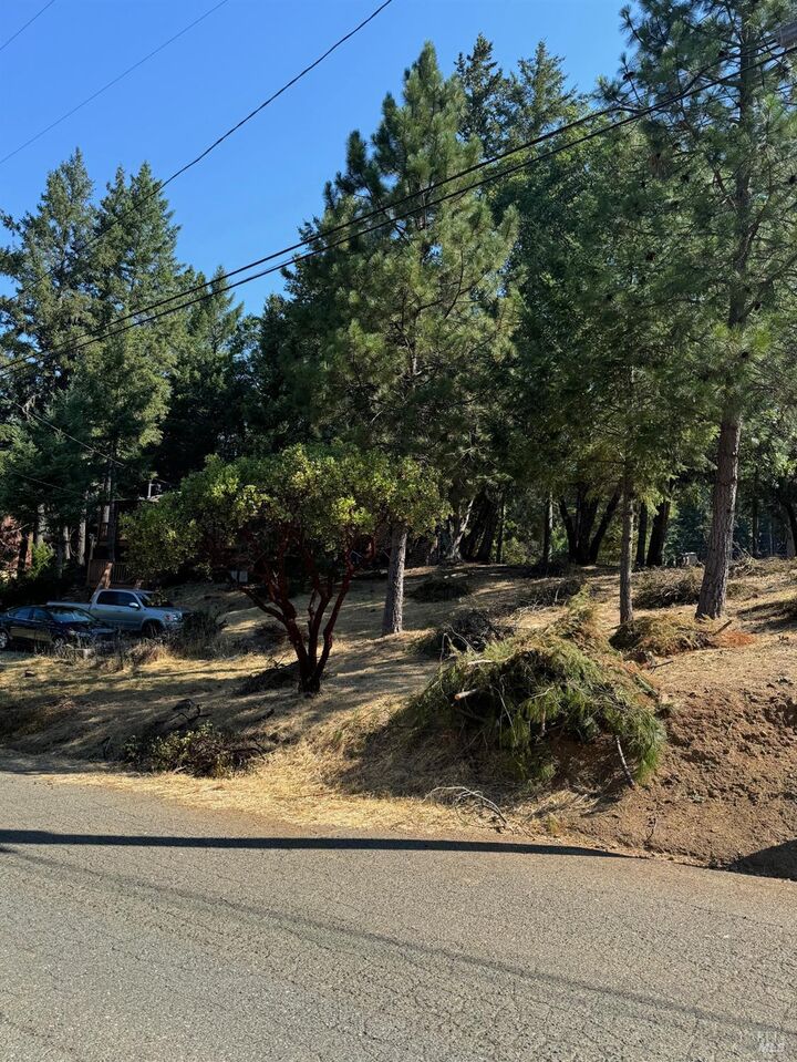 Property Photo: 1596 Daphne Drive CA 95490
