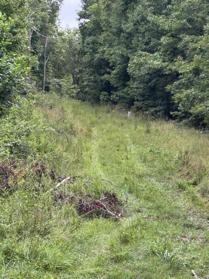 Property Photo: 0 Tatum Gulf Road GA 30731