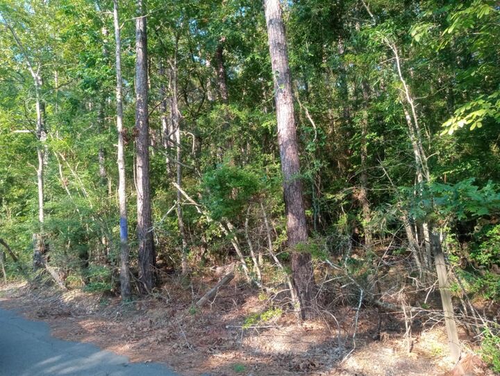 Property Photo:  0 Piney Lane  TX 77331 