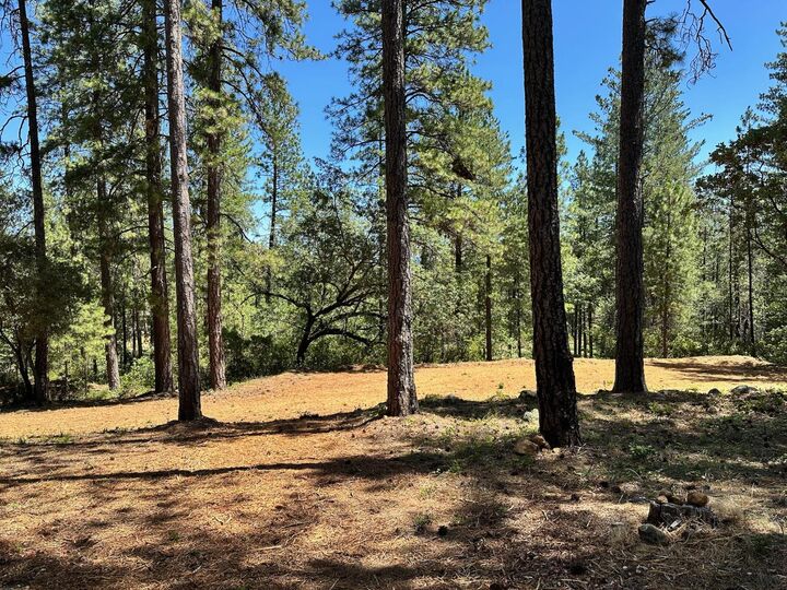 Property Photo: 1815 E Summit View Drive CA 95722