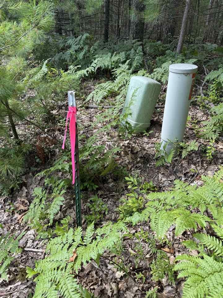 Property Photo: 3563 Lake Marina Lot 117 MI 49749