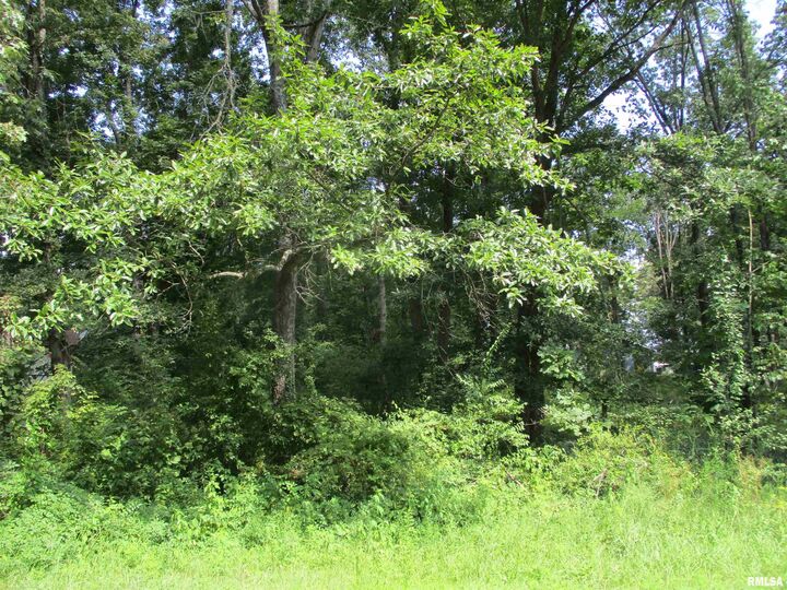 Property Photo:  0000 White Birch Court  IL 62812 