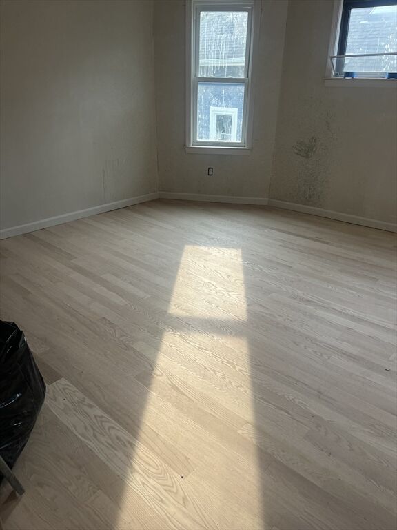 Property Photo:  51 Beech Glen 3  MA 02119 