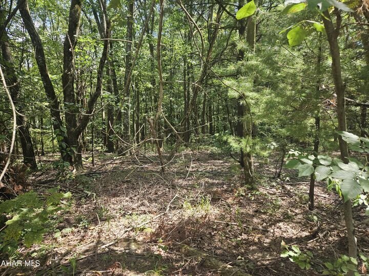 Property Photo:  222 Hazel Drive  PA 16686 