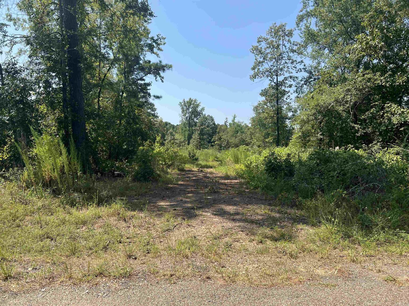 Property Photo: Tbd Ozark Loop AR 71929