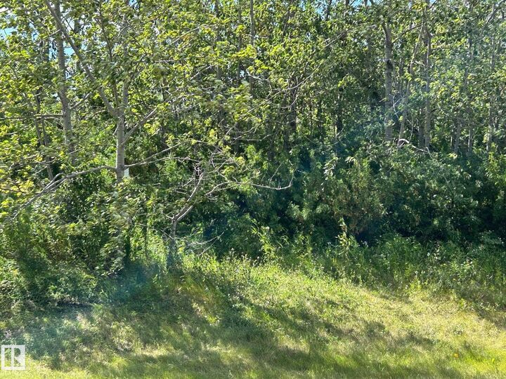 Property Photo:  208 Oak Street  AB T0A 1N6 