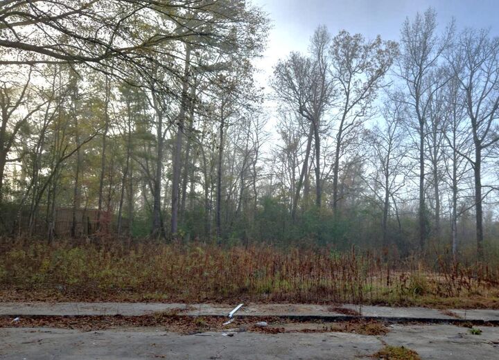 Property Photo: 124 Plantation Blvd. MS 39401