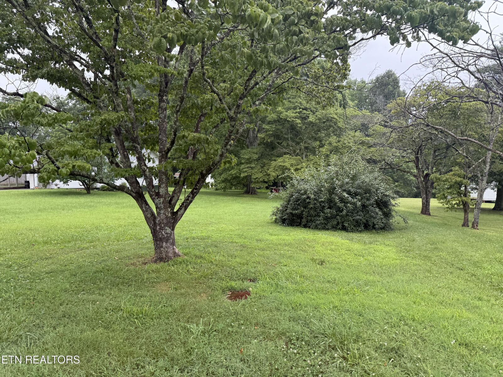 Property Photo: 122 Hill Drive TN 37748