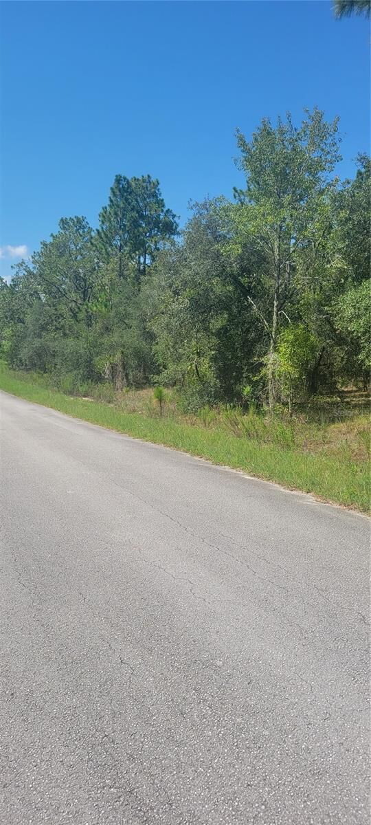 Property Photo: 0 SW Big Bear Ridge FL 34431