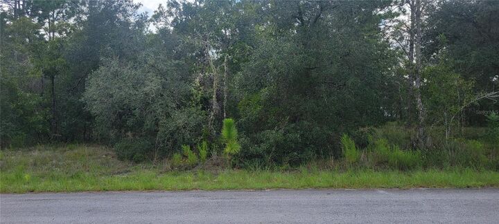 Property Photo: 0 SW Big Bear Ridge FL 34431